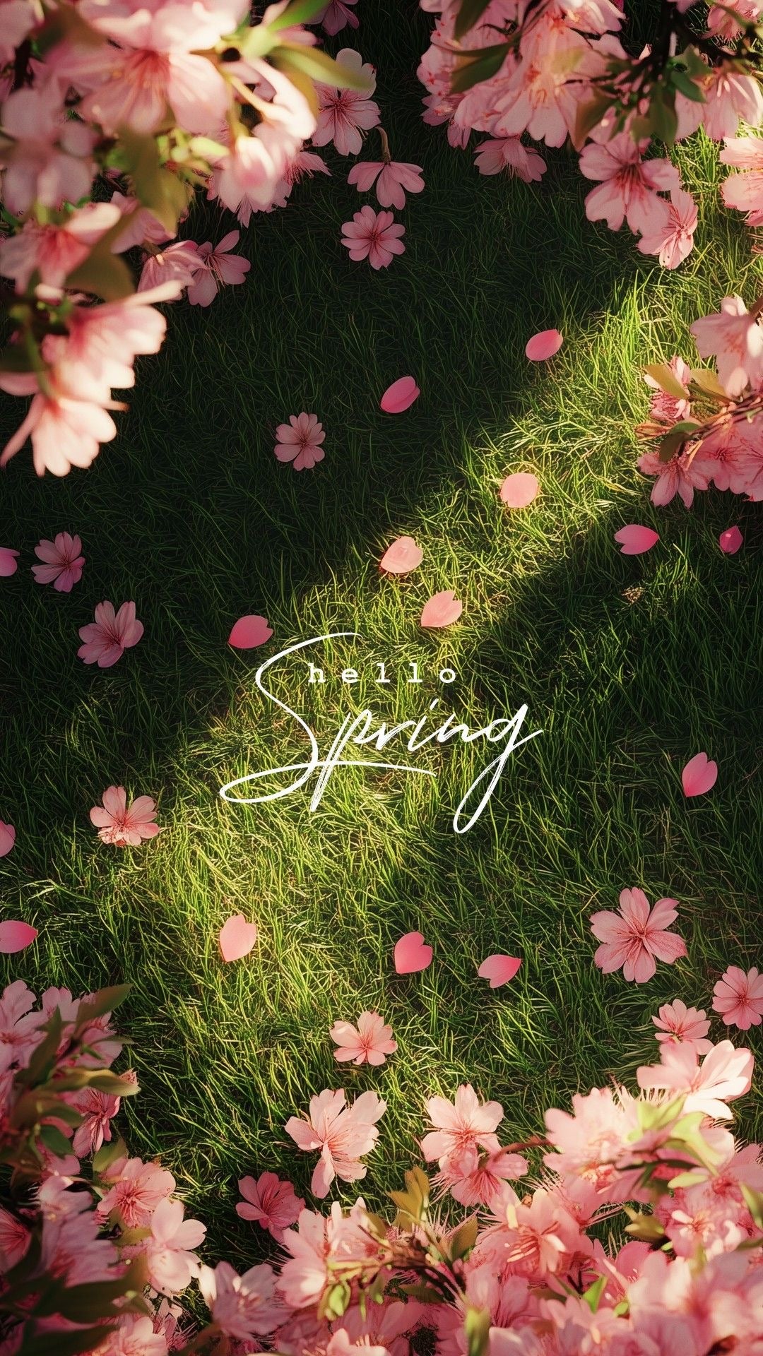 spring • 2026