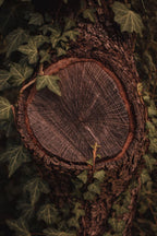 caribbean teakwood.