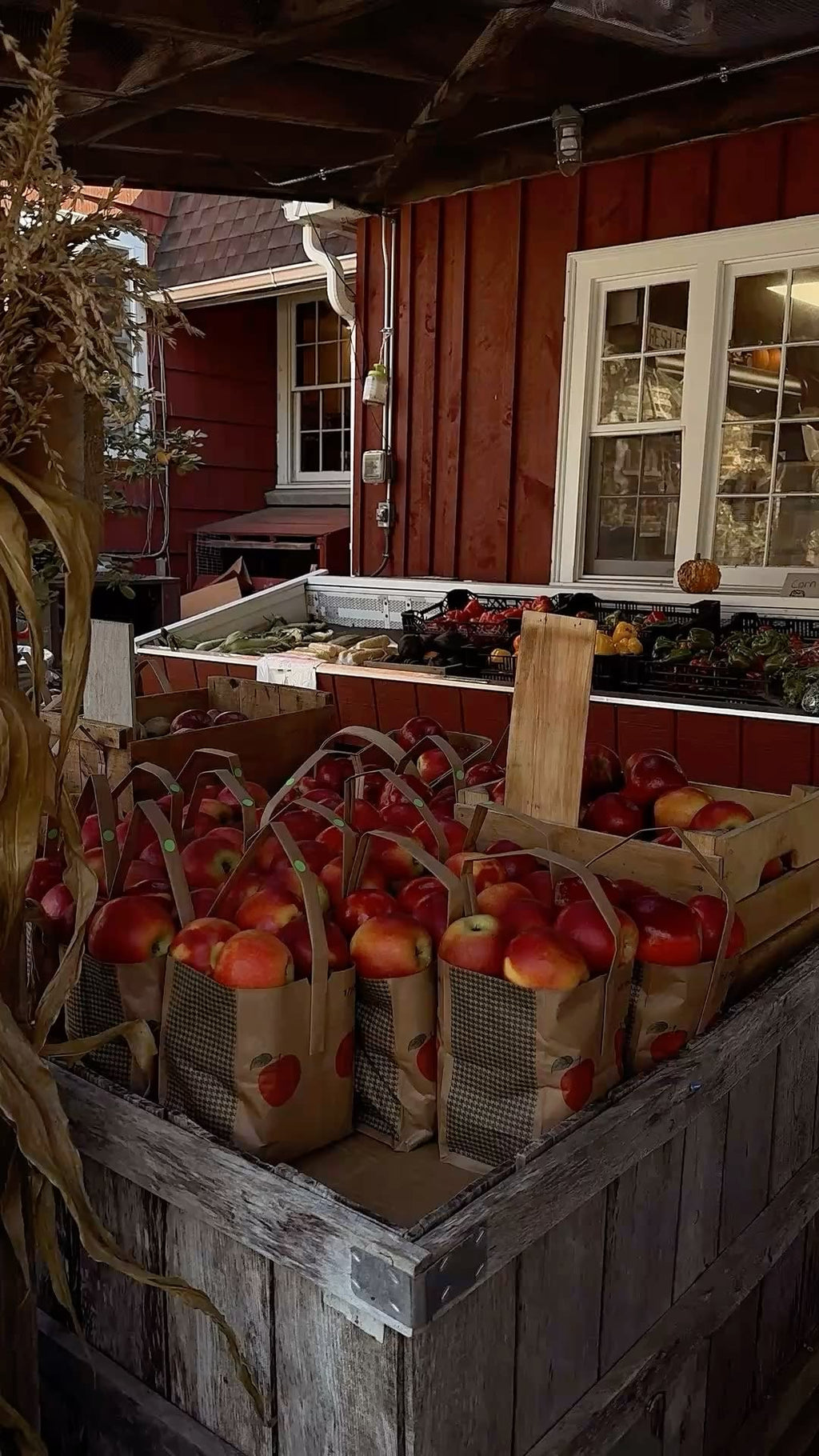 APPLE HARVEST