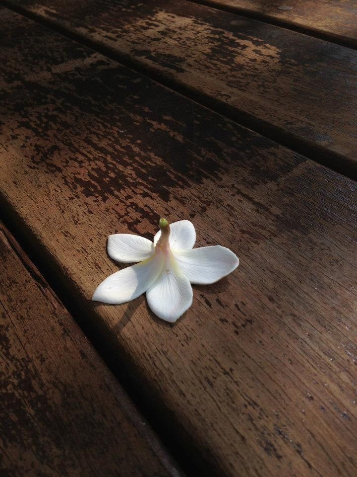 WHITE ORCHID & TEAKWOOD (room spray)